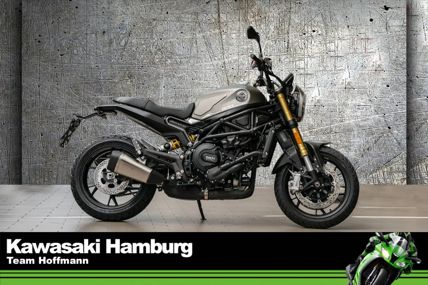 Benelli Leoncino 800 , sofort lieferbar, Lieferservice Grau - 1