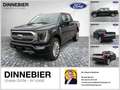 Ford F 150 F-150 Limited Launch Edt. Allrad+AHK+360° Чорний - thumbnail 1