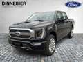 Ford F 150 F-150 Limited Launch Edt. Allrad+AHK+360° Чорний - thumbnail 2