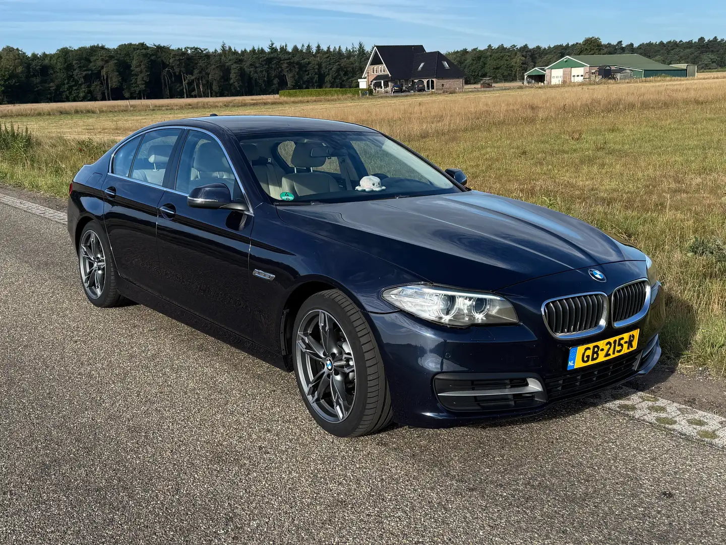 BMW 518 518 Executive Blauw - 1