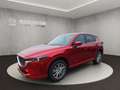 Mazda CX-5 TAKUMI ++SCHIEBEDACH+AWD++ Red - thumbnail 1