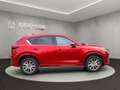 Mazda CX-5 TAKUMI ++SCHIEBEDACH+AWD++ Red - thumbnail 6