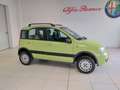 Fiat Panda Panda 1.2 4x4 Climbing Grün - thumbnail 4
