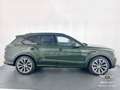 Bentley Bentayga Bentayga V8 Azure 550cv - BENTLEY MILANO Verde - thumbnail 4
