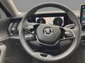 Skoda Kodiaq Selection 2.0 TDI DSG 4M AHK MATRIX RFK Schwarz - thumbnail 10