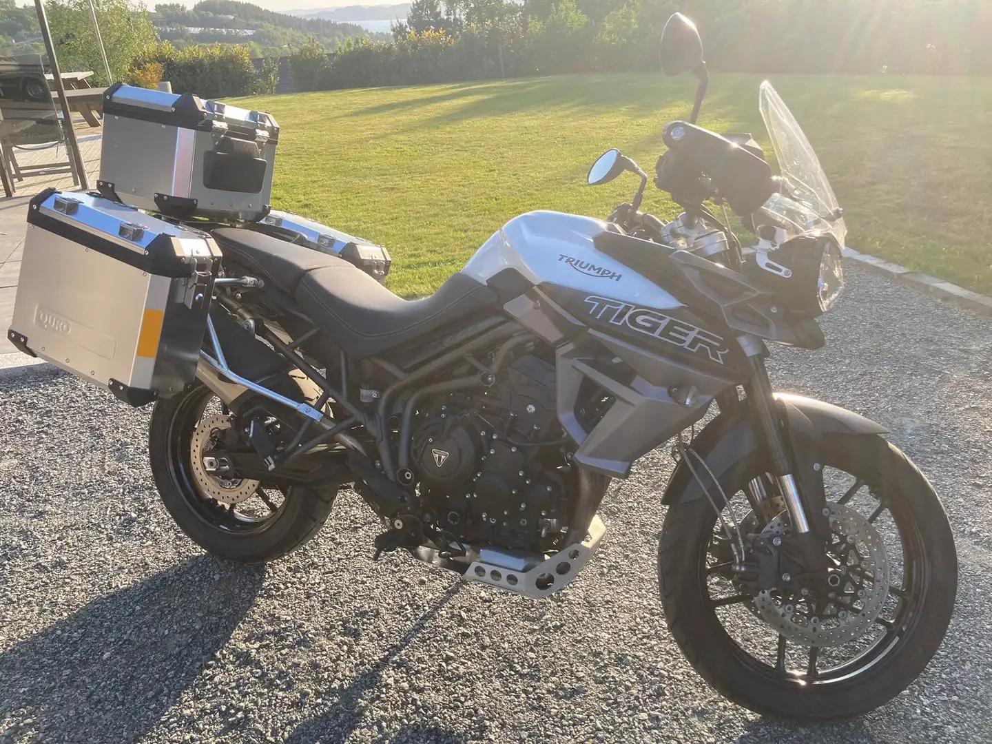 Triumph Tiger 800 XRX Bílá - 1