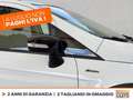 Ford EcoSport 1.0 ecoboost active s&s 125cv Bianco - thumbnail 15