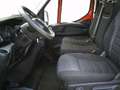 Iveco Daily 35C16 Motor 3.0 Pritsche 4.170 mm - Zwill... Rot - thumbnail 4