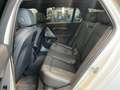 BMW 520 d xDrive M Sportpaket pro, Panorama-Glasdach, akti Weiß - thumbnail 9