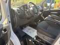 Opel Movano Doka,Mixto L3H2 3,5t  6-Sitzer Weiß - thumbnail 6
