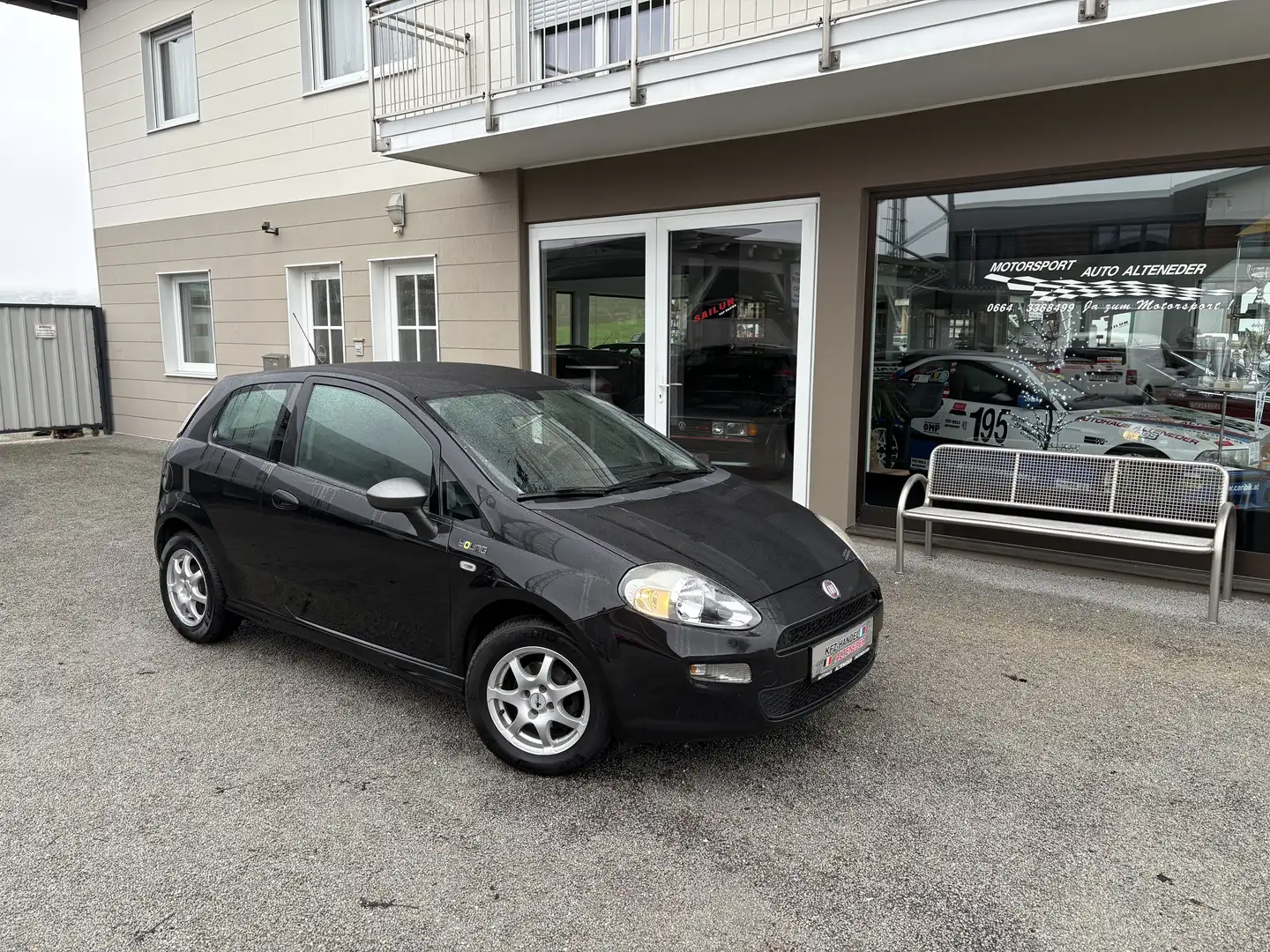 Fiat Punto 1,2 Young *WENIG KM*ZR-GEMACHT*KLIMA*TOP* Schwarz - 1