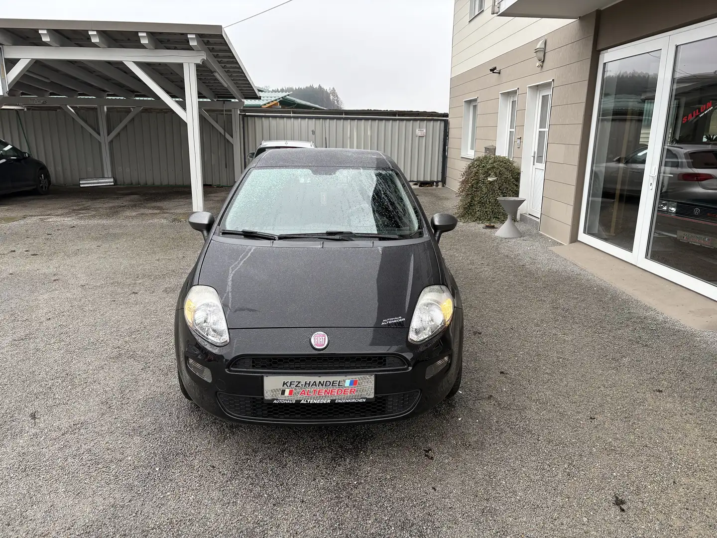 Fiat Punto 1,2 Young *WENIG KM*ZR-GEMACHT*KLIMA*TOP* Schwarz - 2