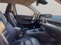 Mazda CX-5 AWD+SPORTS-LINE+TEC-P+NAV+LEDER+HÄNDLER Rot - thumbnail 12