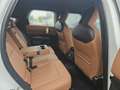 MINI Countryman C Head Up*Driving Assist*LED*DAB*Unfallfrei* Weiß - thumbnail 11