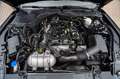 Ford Mustang 2,3 GT 500 SHELBY PREMIUM RECARO PERFORM Schwarz - thumbnail 21