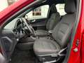 Ford Kuga 1.5 TDCi ST-Line - NAVI LED PANO SHZ AHK Rot - thumbnail 17
