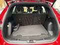 Ford Kuga 1.5 TDCi ST-Line - NAVI LED PANO SHZ AHK Rot - thumbnail 10