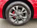 Ford Kuga 1.5 TDCi ST-Line - NAVI LED PANO SHZ AHK Rot - thumbnail 20