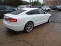 Audi A5 /S-Line3.0 TDI quattro/RS-Sitze/1.Hd/20-Zoll/ Weiß - thumbnail 5