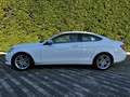 Mercedes-Benz C 220 Classe C220 unico proprietario Bianco - thumbnail 4