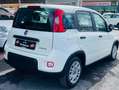 Fiat Panda 1.0 firefly hybrid City Life ANCHE KM0!!!!!!!!! Weiß - thumbnail 5