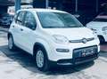 Fiat Panda 1.0 firefly hybrid City Life ANCHE KM0!!!!!!!!! Weiß - thumbnail 4