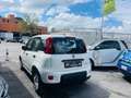 Fiat Panda 1.0 firefly hybrid City Life ANCHE KM0!!!!!!!!! Weiß - thumbnail 7