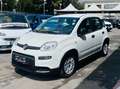 Fiat Panda 1.0 firefly hybrid City Life ANCHE KM0!!!!!!!!! Weiß - thumbnail 1