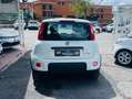 Fiat Panda 1.0 firefly hybrid City Life ANCHE KM0!!!!!!!!! Weiß - thumbnail 6