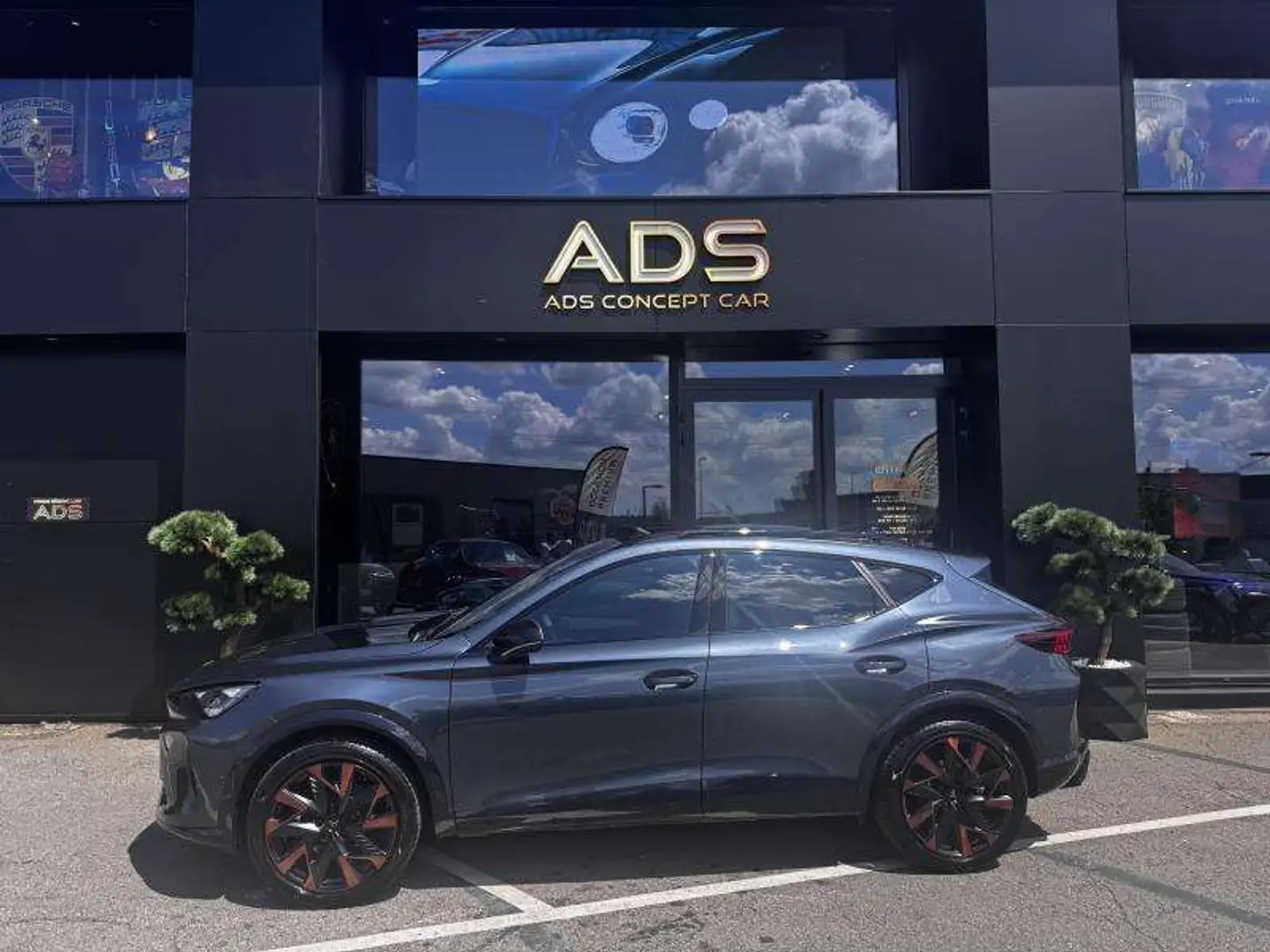CUPRA Formentor Tribe Edition 2024 Gris - 2