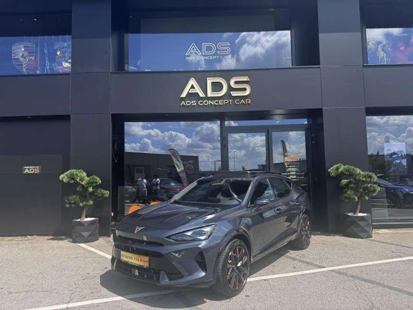 CUPRA Formentor Tribe Edition 2024 Gris - 1