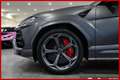 Lamborghini Urus **4.0|UNI PROP|CARBO|TETTO Gris - thumbnail 8