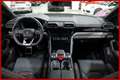 Lamborghini Urus **4.0|UNI PROP|CARBO|TETTO Gris - thumbnail 13