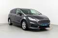 Ford S-Max 2.0TDCi Panther Titanium 150 Gris - thumbnail 3