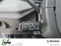 Skoda Kamiq Tour 6-Gang-Schaltgetriebe AHZV Navigation Silber - thumbnail 14