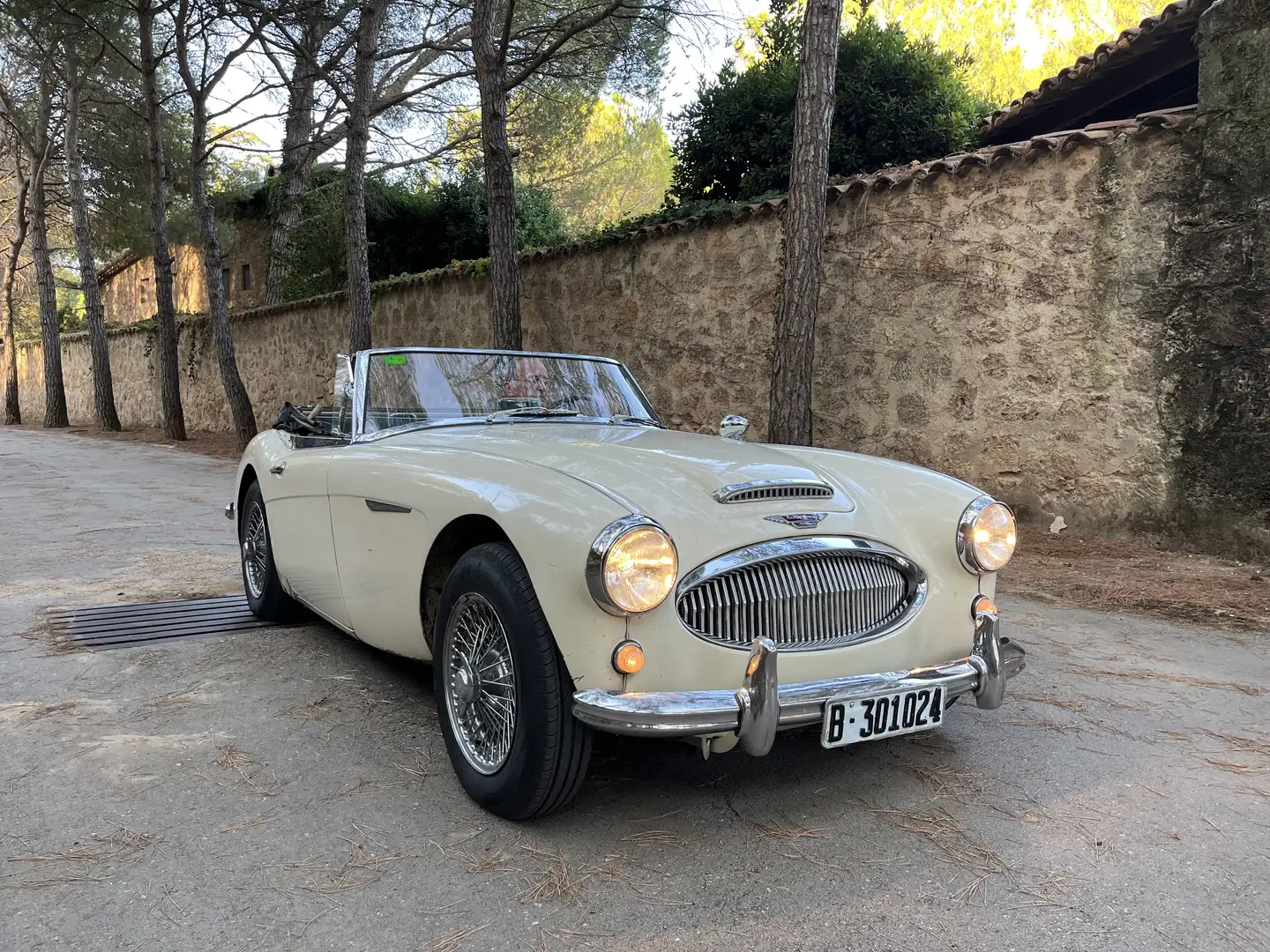 Austin-Healey 3000 - 1