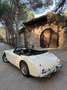 Austin-Healey 3000 - thumbnail 6