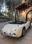Austin-Healey 3000 - thumbnail 7