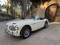 Austin-Healey 3000 - thumbnail 4
