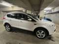 Ford Kuga Kuga 2,0 TDCi Trend Trend Weiß - thumbnail 6