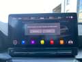 CUPRA Formentor VZ 2.0 TSI 4Drive DSG *LED*ACC*DCC*CAM* Grün - thumbnail 28