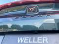 CUPRA Formentor VZ 2.0 TSI 4Drive DSG *LED*ACC*DCC*CAM* Grün - thumbnail 29