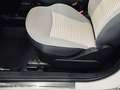 Fiat 500 0.9 TwinAir Turbo Collezione Aut. | Panorama | Car Blanc - thumbnail 21