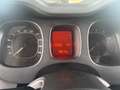 Fiat Panda 1.2 69cv 88.000KM NEOPATENTATI Blanc - thumbnail 15