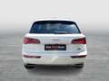 Audi Q5 quattro sport Weiß - thumbnail 4
