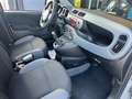 Fiat Panda 1.2 Pop 69cv - UNICOPROPRIETARIO - EURO 6B Grigio - thumbnail 13