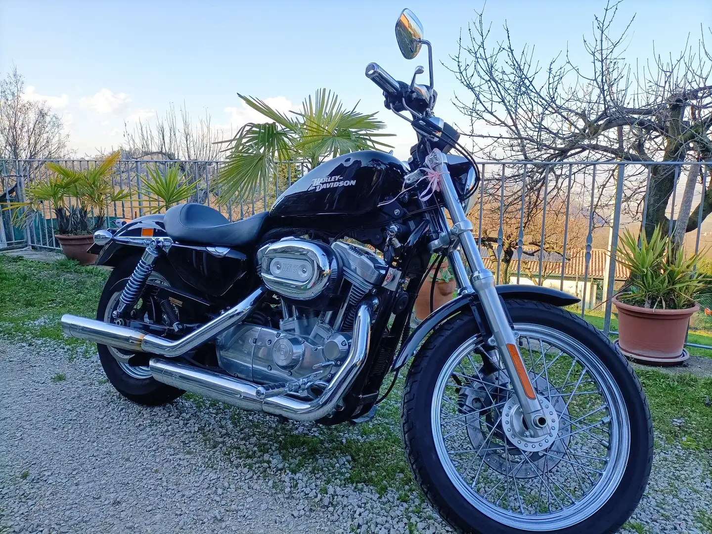 Harley-Davidson Sportster XL 883 Czarny - 1