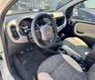 Fiat Panda 1.3 MJT S&S 4x4 Climbing Bianco - thumbnail 7