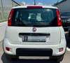 Fiat Panda 1.3 MJT S&S 4x4 Climbing Bianco - thumbnail 3
