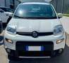 Fiat Panda 1.3 MJT S&S 4x4 Climbing Bianco - thumbnail 6